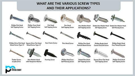 What Are The Various Screw Types And Their Applications?