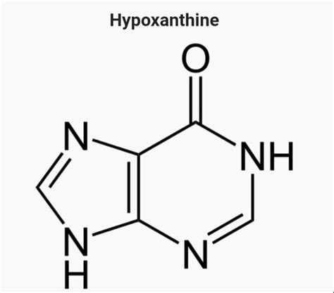 Difference Between Xanthine And Hypoxanthine - Relationship Between