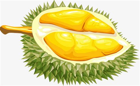 durian cartoon clipart 10 free Cliparts | Download images on Clipground ...