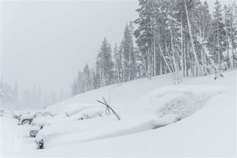 IMAGES: Mammoth Mountain Miracle March Madness! Past Month One of the ...