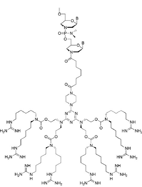 Structure of a Vivo-Morpholino. Shown are two 3′ end bases from a ...