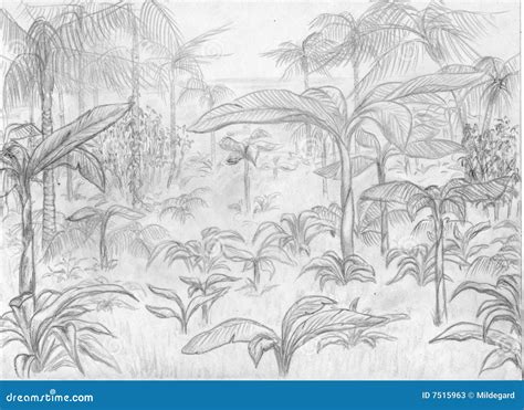 Jungle landscape stock illustration. Illustration of palm - 7515963