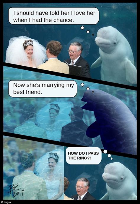 Beluga whale upstages bride on wedding day in Connecticut | Daily Mail ...