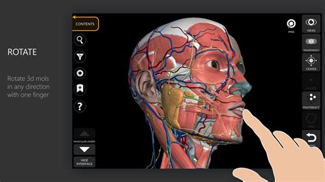 3d human anatomy atlas - vivadelta