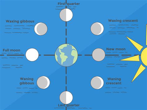 How to Make a Moon Phases Chart: 13 Steps (with Pictures)