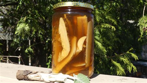 Burdock Root Pickles Recipe