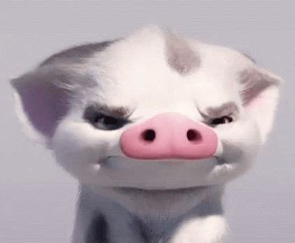 Moana Pig Pua Angry GIF - MoanaPigPua Pua Pig - Discover & Share GIFs ...