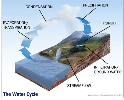 Images Of Water Cycle