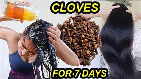 I used CLOVES on my hair for 7 DAYS & MY HAIR GROW LIKE CRAZY! *before ...