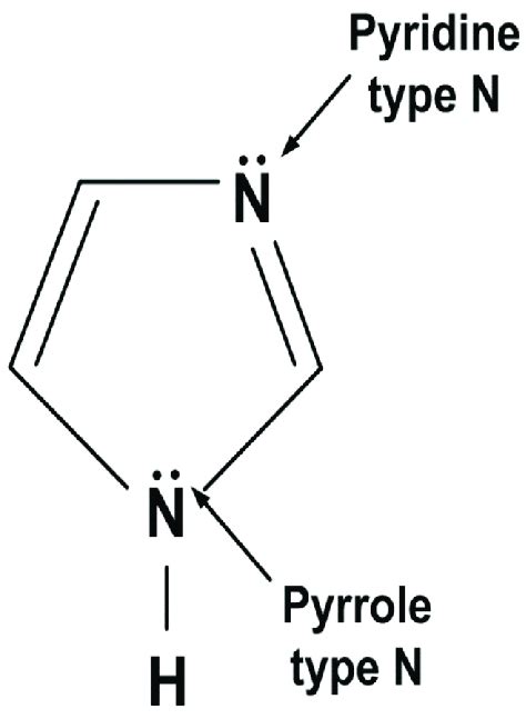 Molecular structure of imidazole. | Download Scientific Diagram