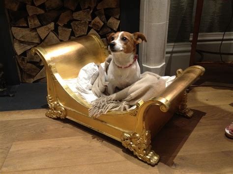 Fancy dog beds designs for the comfort of your beloved pet