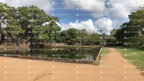 Anuradhapura, Sri Lanka, park area with flowerbed - YouTube