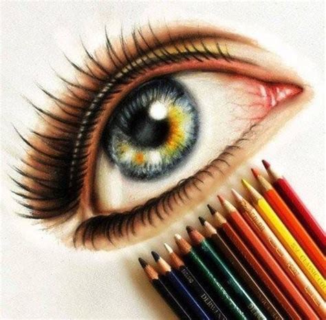 Colored Pencils for Artists: The Ultimate Review - FeltMagnet