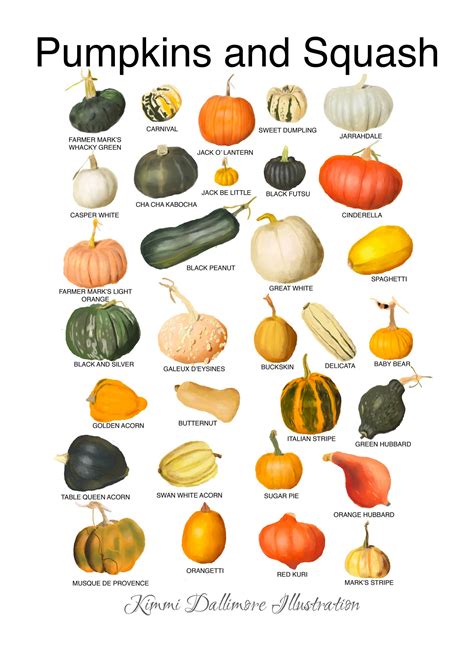 Pumpkin Varieties, Squash Varieties, Pumpkin Garden, Veg Garden ...