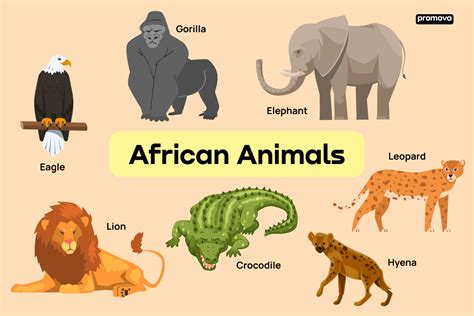 African Animals And Madagascar Animals Vocabulary