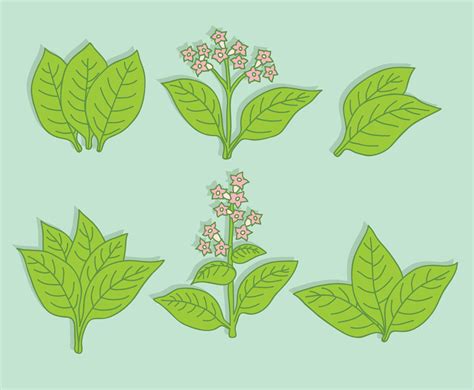 Green Tobacco Leaf Vector Vector Art & Graphics | freevector.com