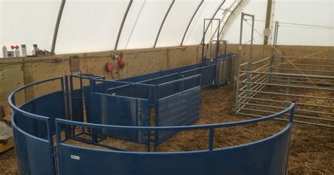 Living Sky Ranch: New Sheep Handling Equipment