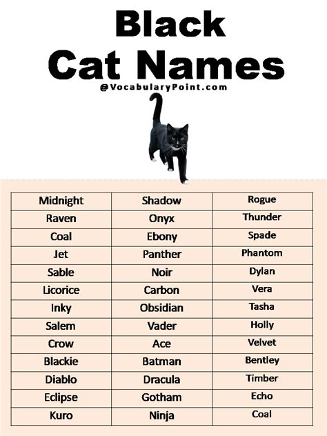 500+ Most Popular Cat Names in English - Vocabulary Point