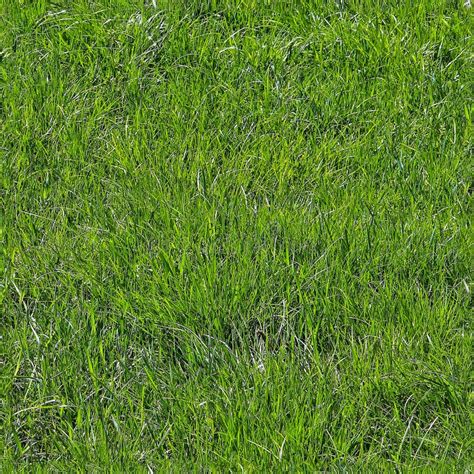 Photo Realistic Seamless Grass Texture in High Resolution with More ...