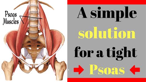 How to Release a Tight Psoas (lliopsoas) : A simple solution for a ...