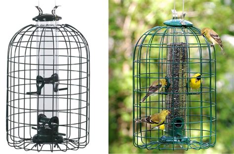 7 Best Bird Feeders For SMALL Birds In MY Backyard (2022) - Bird ...