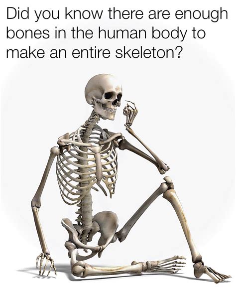 an entire skeleton : r/memes