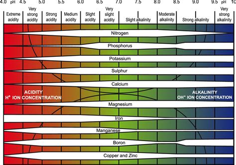 Influence of soil pH on plant nutrient availability - Potash ...