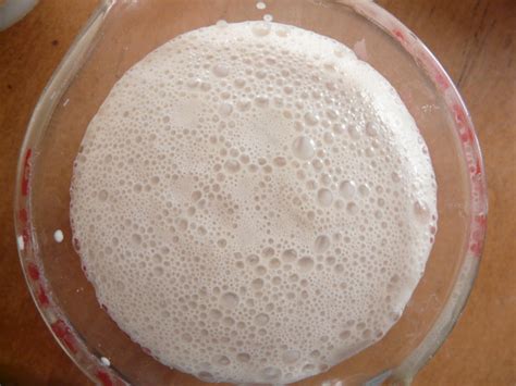 Proofing Yeast | also called a yeast sponge | By: Emily Barney | Flickr ...