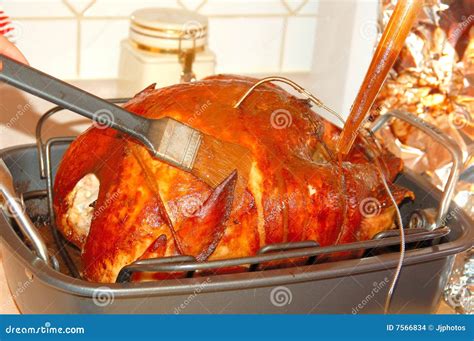 Basting Turkey stock photo. Image of tray, festive, gravy - 7566834