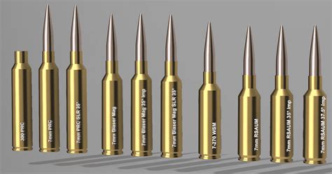 300 Wsm Ballistics Chart