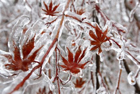 30 Amazing Ice Storm Photography – The WoW Style