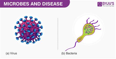 Microbes and Diseases- Explore Diseases Caused by Microorganisms