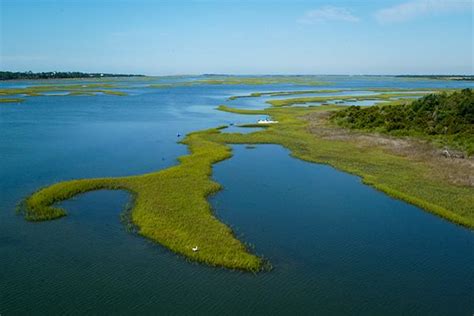 Southern Flounder Symposium | NC DEQ