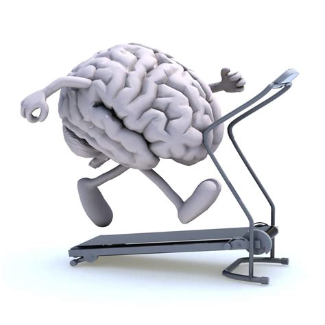 brain training for brain fitness and brain healthy lifestyle tips