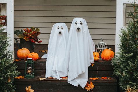 Why do we wear bedsheets as a ghost costume? A closer look at its ...