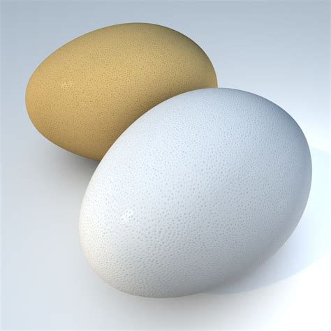 Egg 3D Models for Download | TurboSquid