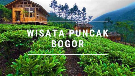 Tempat Wisata Di Puncak Bogor Untuk Anak | Tempat Wisata Indonesia