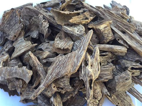 Agarwood/Oud Attar – Natural Alchemy