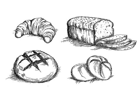 Hand Drawn Bread Types Sketches