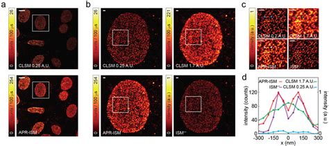 Image scanning microscopy on nuclear pore complexes (NPCs) (a ...