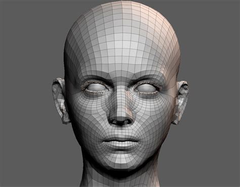 High detailed female face with UV and low poly 3D Model $5 - .ztl - Free3D