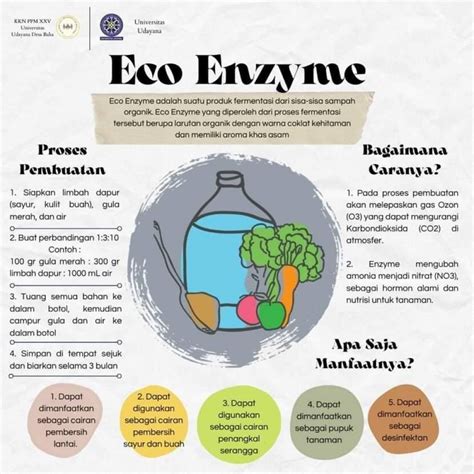 Cara Kerja Eco Enzyme Dan Manfaatnya Untuk Lingkungan Dan Kesehatan - Matob