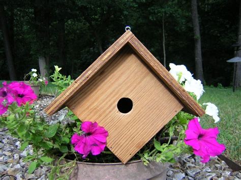 Build a Wren Bird House with Free Plans - CraftyBirds.com