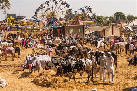 Maharashtra Culture: Exploring the Rich Tradition, Art, Music, Food and ...