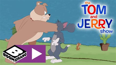 Dokuz kivi kiriş tom and jerry show tom and jerry Dürüstlük baba ...