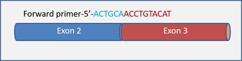 DNA contamination in RNA extraction even after Dnase treatment ...