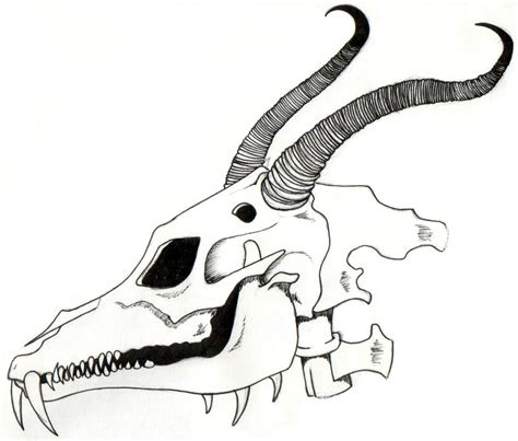 Dragon Skull by troublecat on DeviantArt