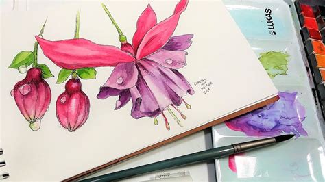 How To Draw A Fuchsia Flower | Best Flower Site