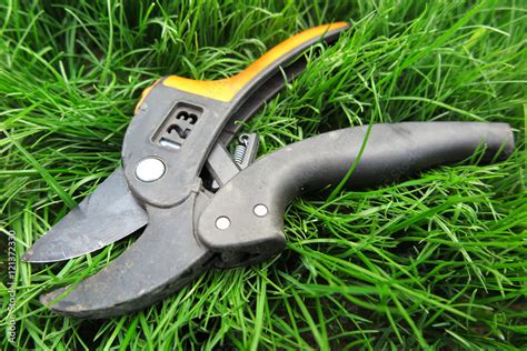 Modern secateurs on the fresh lawn in the sunny garden Stock Photo ...