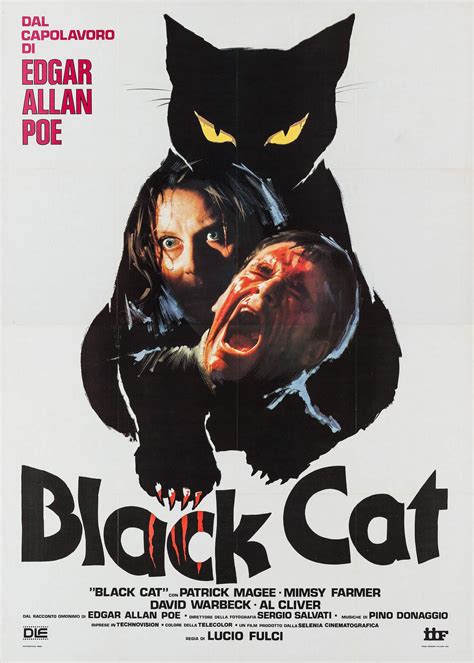 The Black Cat (1981)